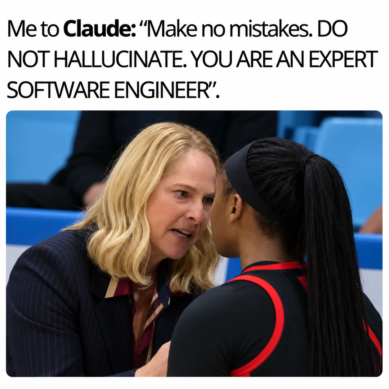 DO NOT HALLUCINATE, Me to the AI: make no mistakes